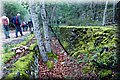 PC273840.JPG