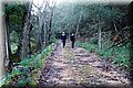 PC273843.JPG