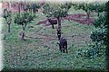PC273852.JPG