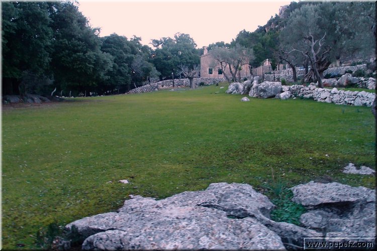 P1074098.JPG