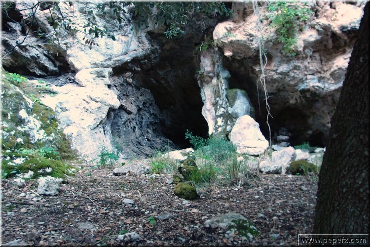 P1074104.JPG