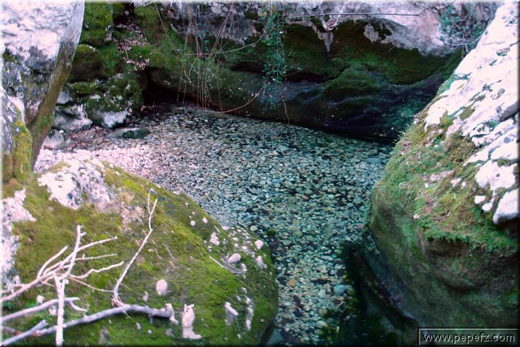 P1074109.JPG