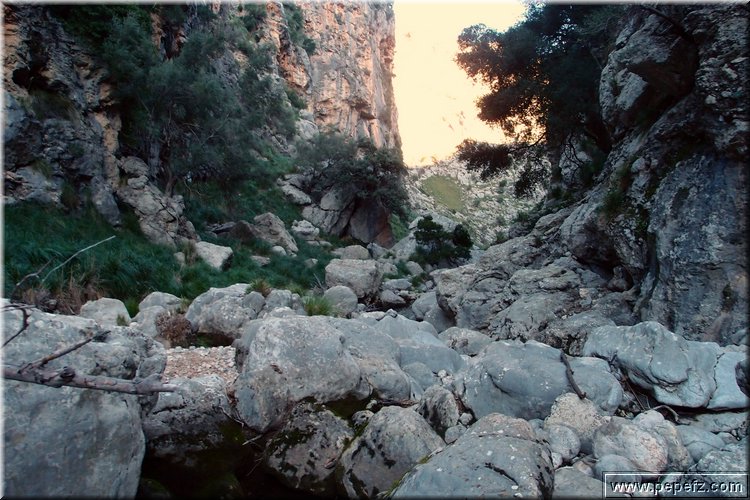 P1074110.JPG