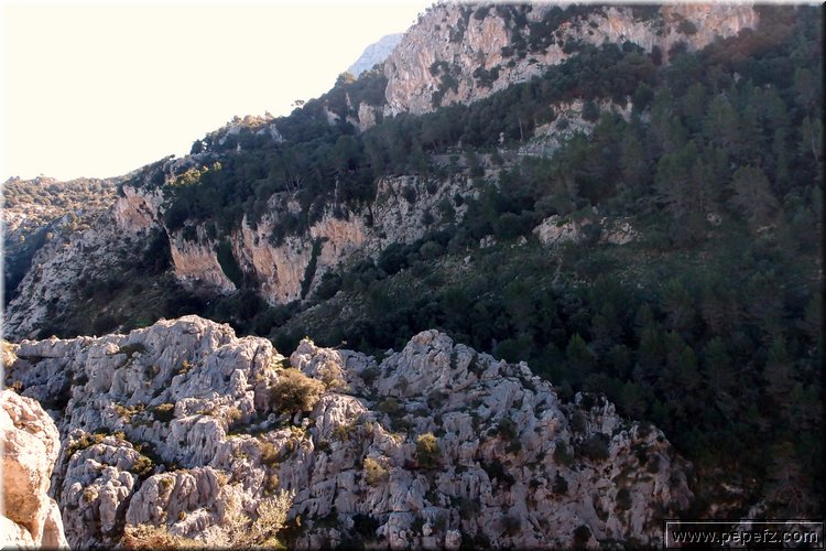 P1074149.JPG