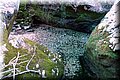 P1074109.JPG