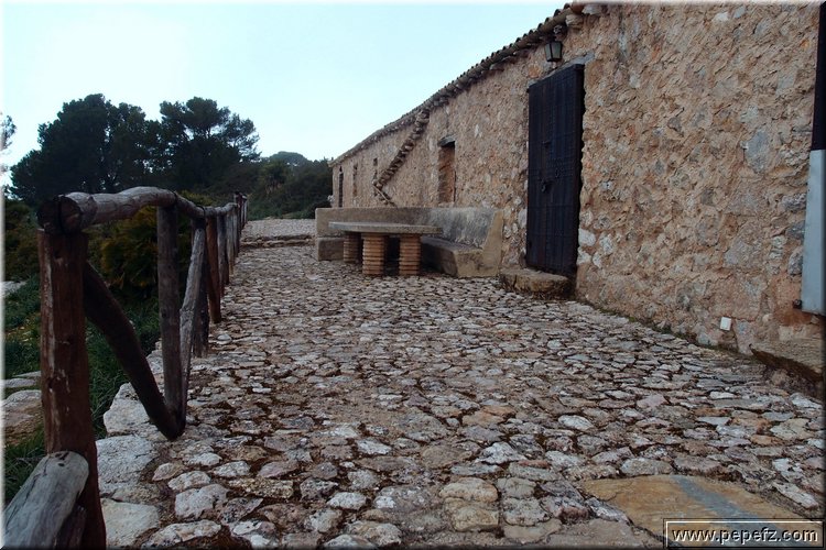 P1104224.JPG