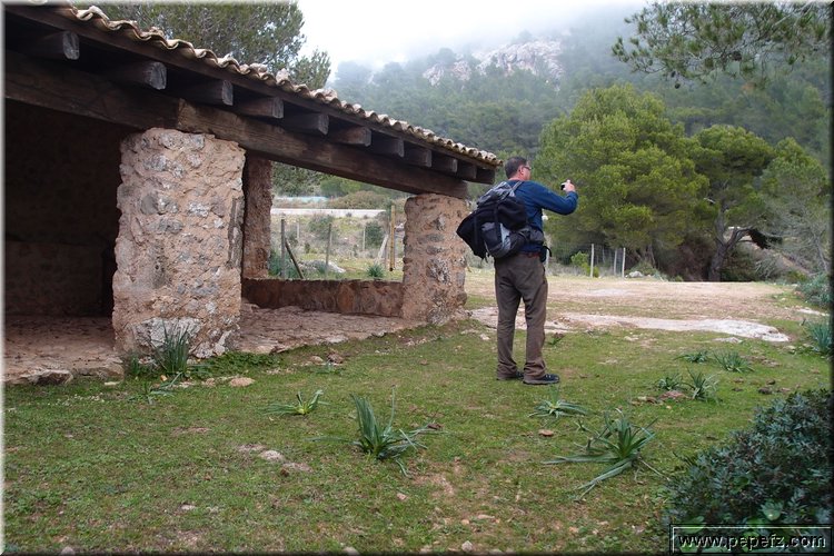 P1104225.JPG