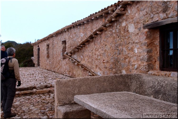 P1104229.JPG