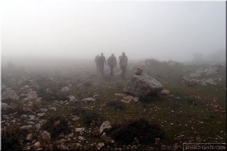 P1104235.JPG