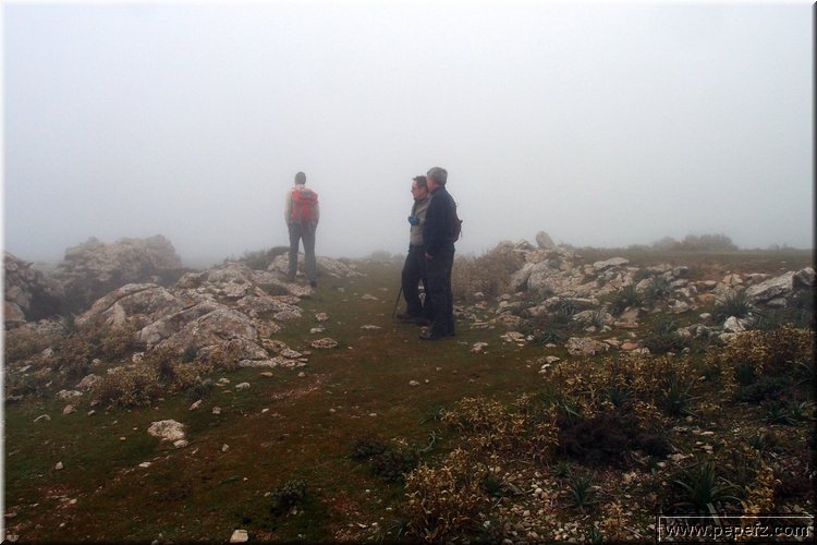P1104239.JPG
