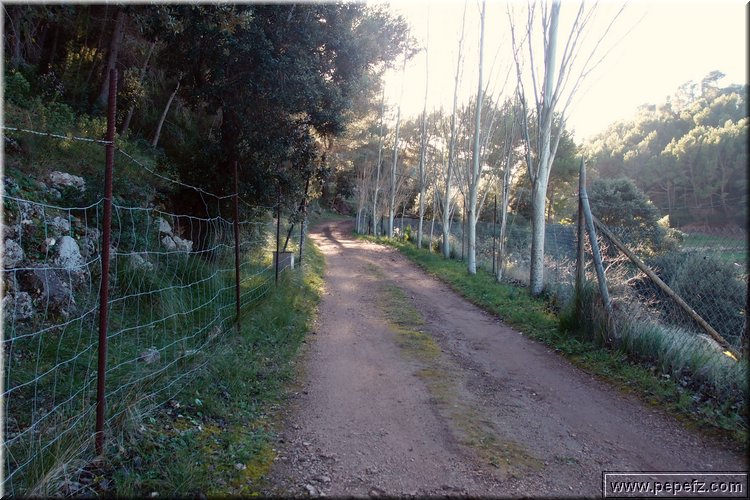 P1104323.JPG