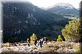 P1104204.JPG