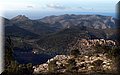 P1104214.JPG