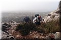 P1104240.JPG