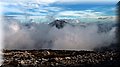 P1104247.JPG
