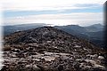P1104265.JPG