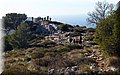 P1104313.JPG