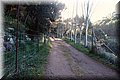 P1104323.JPG