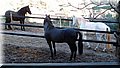 P1104330.JPG