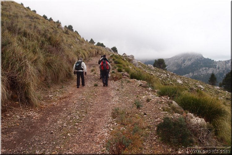 P1144355.JPG