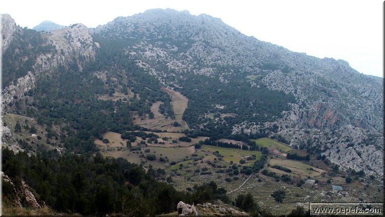 P1144357.JPG