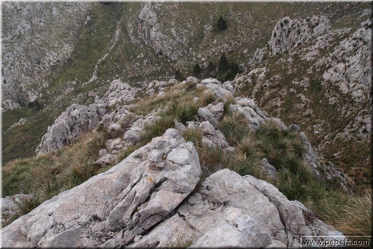 P1144479.JPG