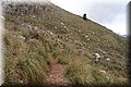 P1144342.JPG