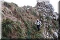 P1144380.JPG