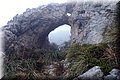 P1144389.JPG