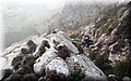 P1144411.JPG