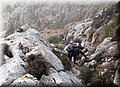 P1144412.JPG