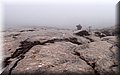 P1144423.JPG