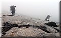P1144428.JPG