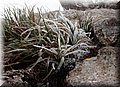 P1144471.JPG