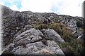 P1144483.JPG
