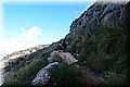 P1144505.JPG