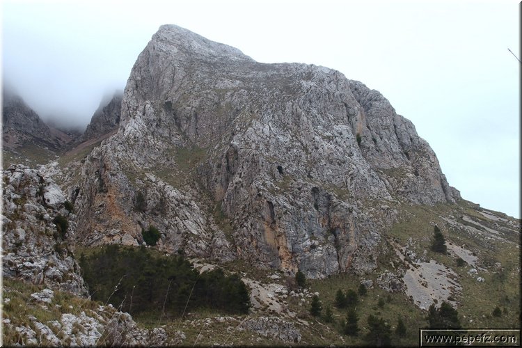 P1174525.JPG