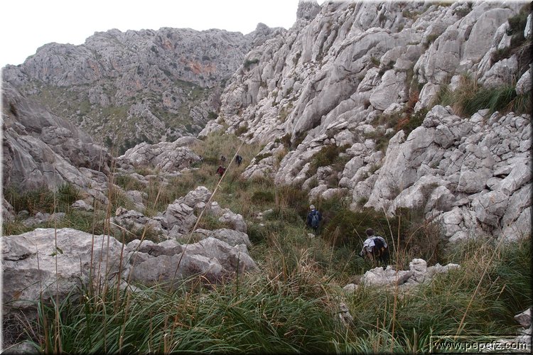 P1174540.JPG