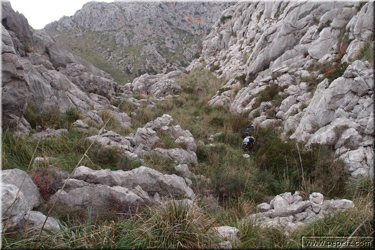 P1174541.JPG