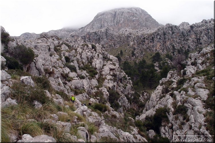 P1174568.JPG
