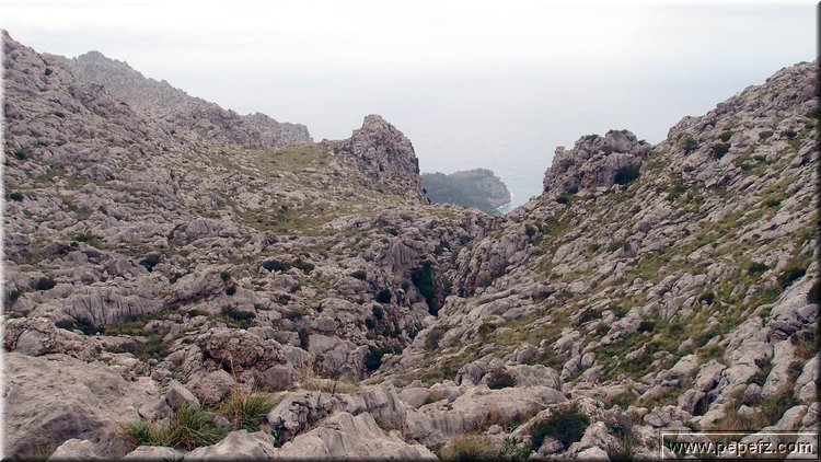 P1174574.JPG