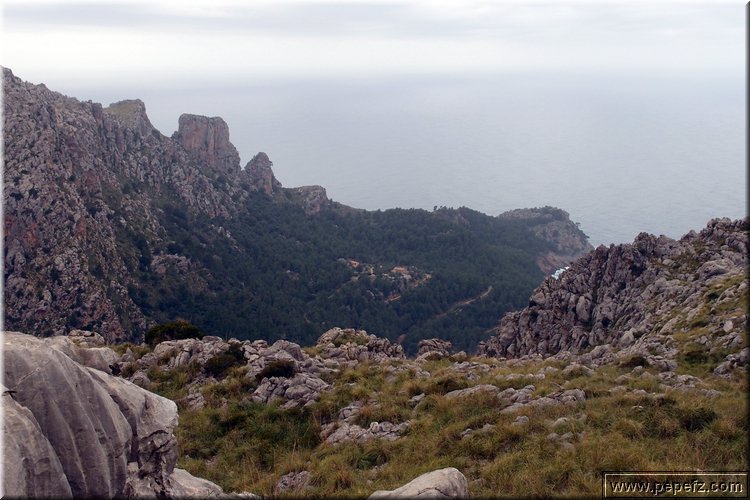 P1174587.JPG