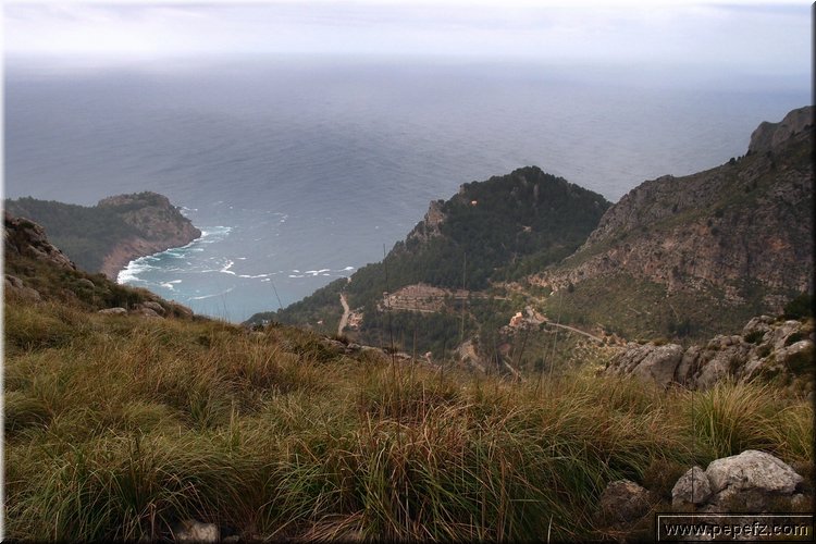 P1174594.JPG