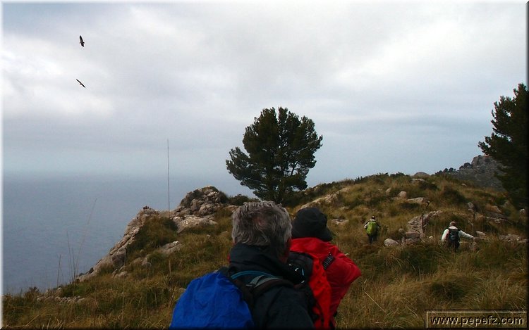 P1174604.JPG