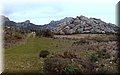 P1174532.JPG
