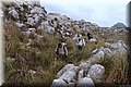 P1174535.JPG