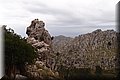 P1174550.JPG