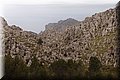 P1174557.JPG