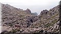 P1174574.JPG