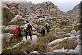 P1174579.JPG